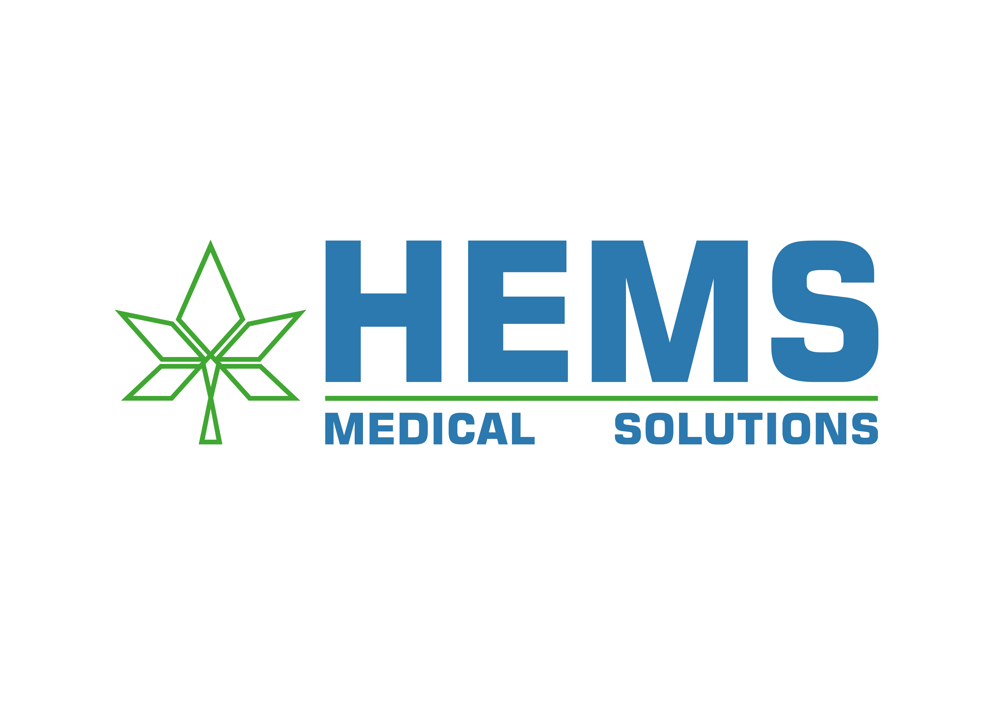 HEMS Logo